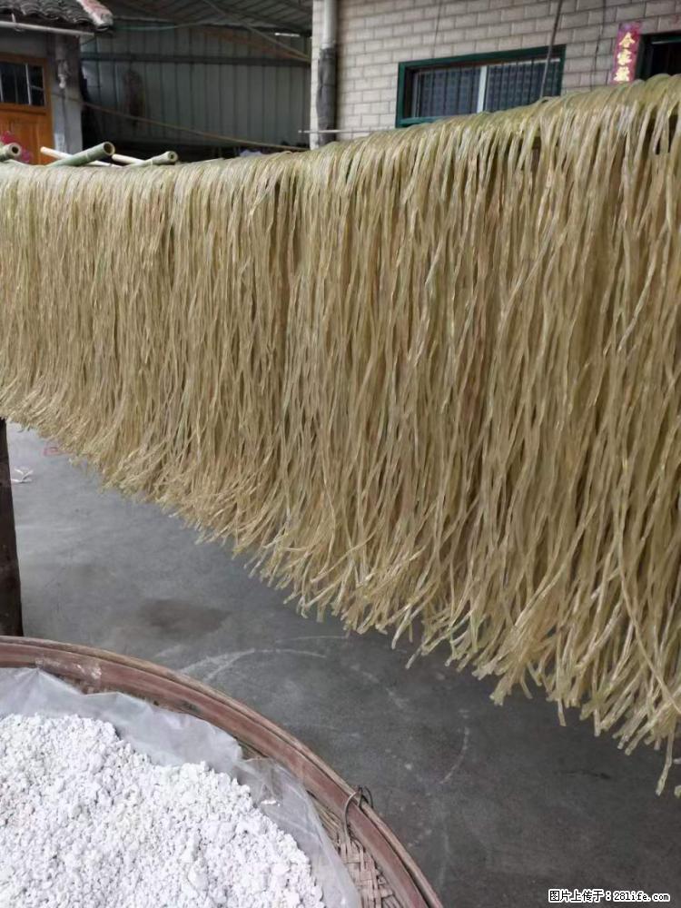 【灌阳正宗红薯粉】美女家里自己做的，干净卫生，假一赔十，价格合理，抢购电话：13737312895 - 美食天地 - 潍坊生活社区 - 潍坊28生活网 wf.28life.net