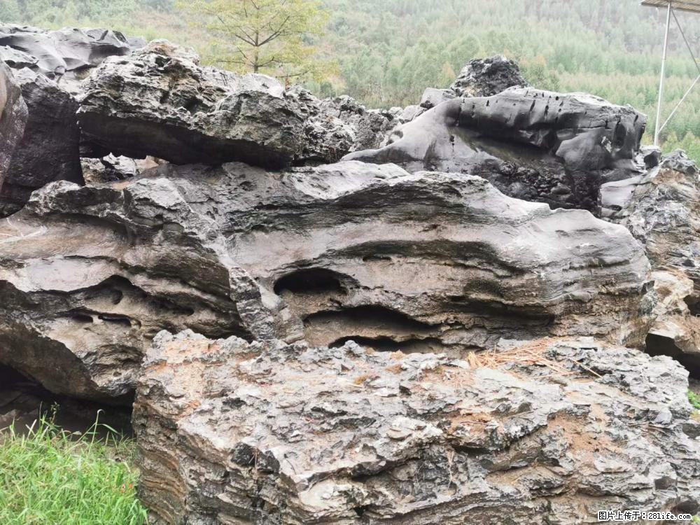 风景石、假山石大量有货，有需要的欢迎联系 - 新手上路 - 潍坊生活社区 - 潍坊28生活网 wf.28life.net