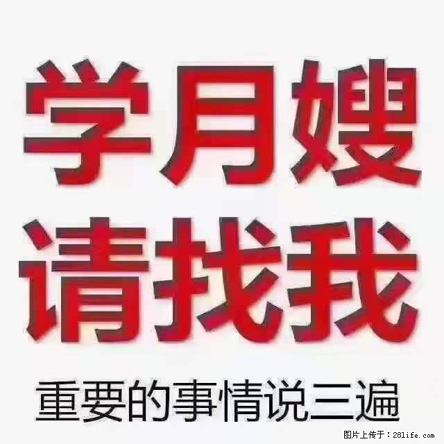 为什么要学习月嫂，育婴师？ - 新手上路 - 潍坊生活社区 - 潍坊28生活网 wf.28life.net