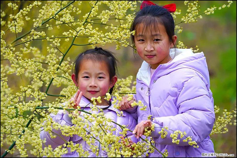 【春天，广西桂林灌阳县向您发出邀请！】米珠山前有片山苍子花在飘香 - 游山玩水 - 潍坊生活社区 - 潍坊28生活网 wf.28life.net