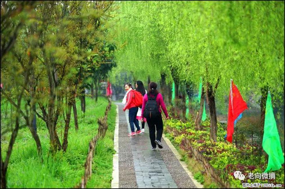 【春天，广西桂林灌阳县向您发出邀请！】江口老街又逢春 - 游山玩水 - 潍坊生活社区 - 潍坊28生活网 wf.28life.net