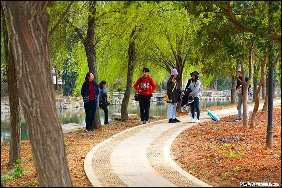 【春天，广西桂林灌阳县向您发出邀请！】江口老街又逢春 - 游山玩水 - 潍坊生活社区 - 潍坊28生活网 wf.28life.net