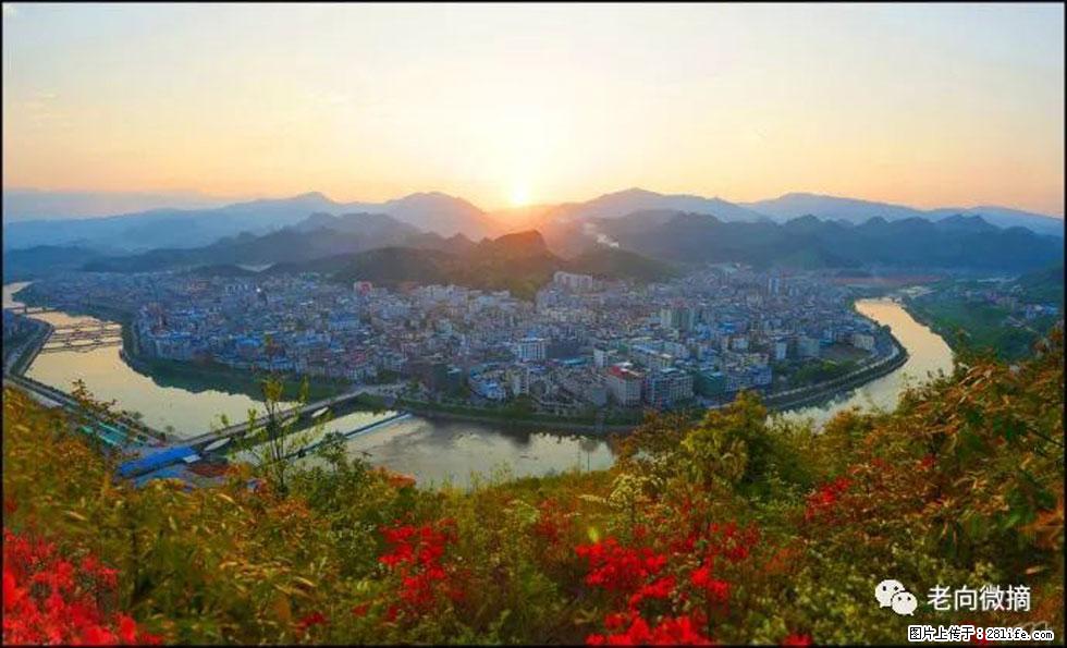 【春天，广西桂林灌阳县向您发出邀请！】登麒麟山，相约映山红 - 游山玩水 - 潍坊生活社区 - 潍坊28生活网 wf.28life.net