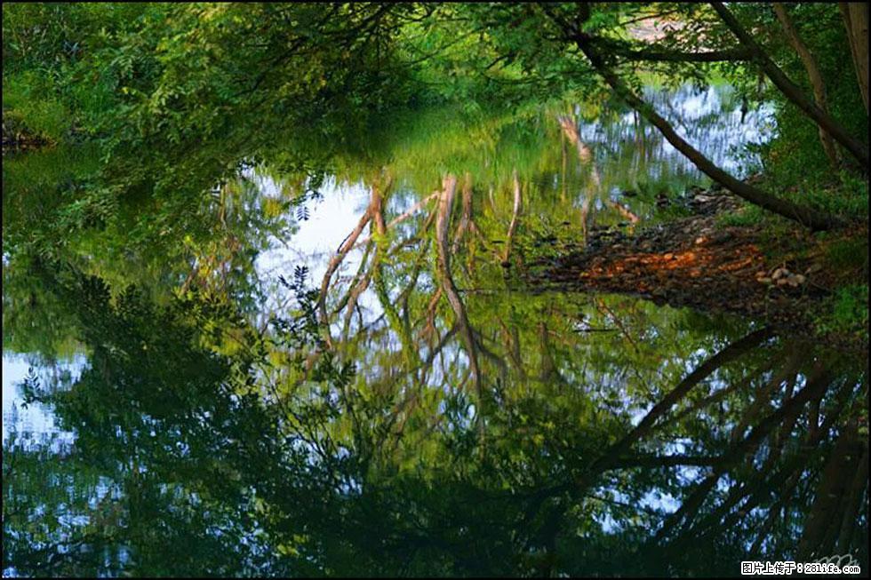 【春天，广西桂林灌阳县向您发出邀请！】熊家寨湿地公园 - 游山玩水 - 潍坊生活社区 - 潍坊28生活网 wf.28life.net