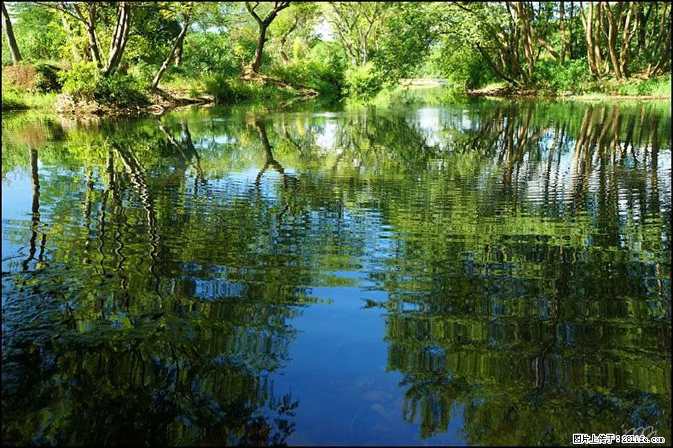 【春天，广西桂林灌阳县向您发出邀请！】熊家寨湿地公园 - 游山玩水 - 潍坊生活社区 - 潍坊28生活网 wf.28life.net