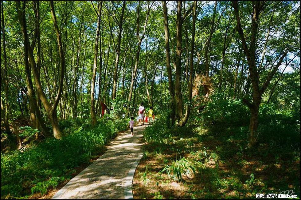 【春天，广西桂林灌阳县向您发出邀请！】熊家寨湿地公园 - 游山玩水 - 潍坊生活社区 - 潍坊28生活网 wf.28life.net
