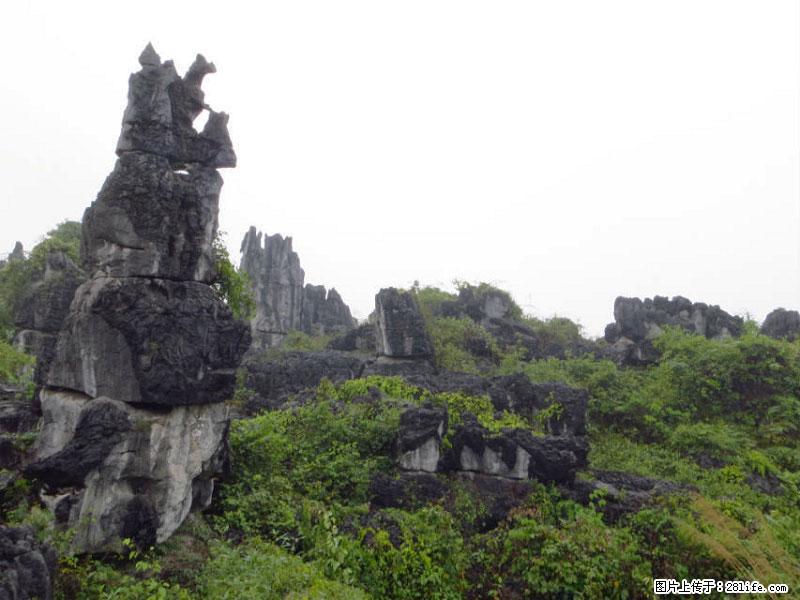 桂林旅游名城景点:灌阳文市石林 - 游山玩水 - 潍坊生活社区 - 潍坊28生活网 wf.28life.net