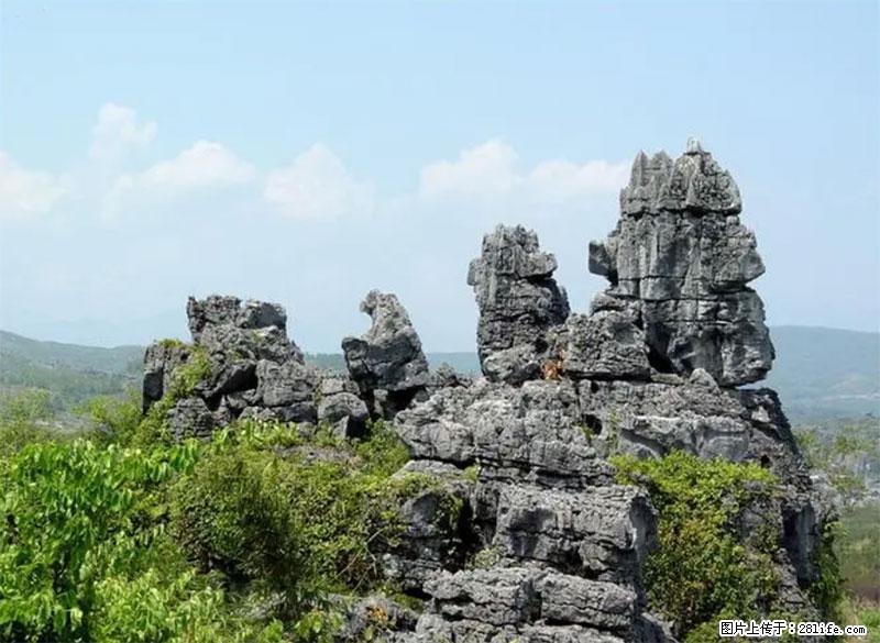 桂林旅游名城景点:灌阳文市石林 - 游山玩水 - 潍坊生活社区 - 潍坊28生活网 wf.28life.net