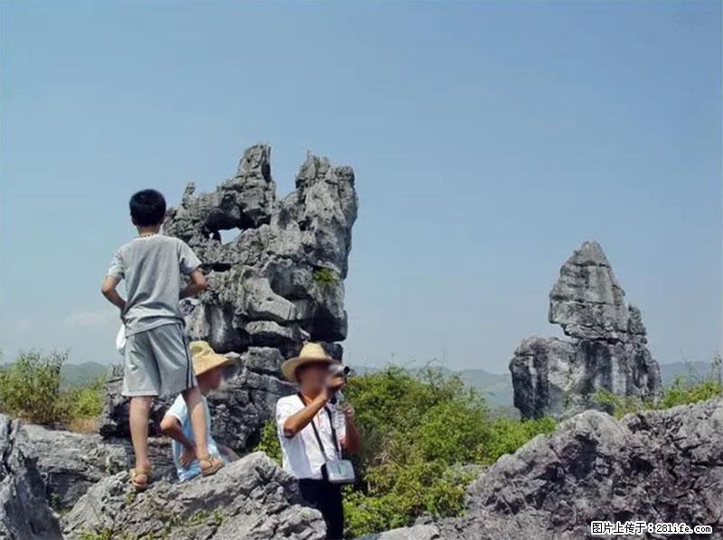 桂林旅游名城景点:灌阳文市石林 - 游山玩水 - 潍坊生活社区 - 潍坊28生活网 wf.28life.net
