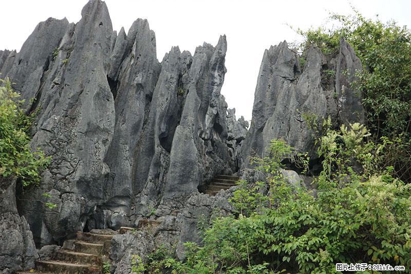 桂林旅游名城景点:灌阳文市石林 - 游山玩水 - 潍坊生活社区 - 潍坊28生活网 wf.28life.net