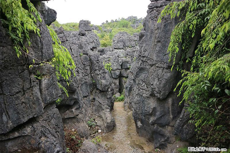桂林旅游名城景点:灌阳文市石林 - 游山玩水 - 潍坊生活社区 - 潍坊28生活网 wf.28life.net