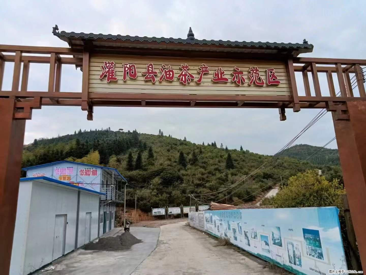 【灌阳县油茶产业示范区】一个有着充实的精神生活的人，对待身外之物自会有一种淡泊的态度 - 土特产 - 饮食特产 - 潍坊分类信息 - 潍坊28生活网 wf.28life.net