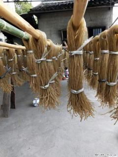 【灌阳正宗红薯粉】美女家里自己做的，干净卫生，假一赔十，价格合理，抢购电话：13737312895 - 潍坊28生活网 wf.28life.net