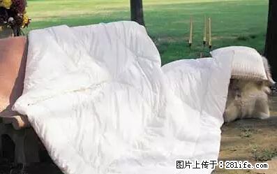 被子有异味？只要这样做，比晒太阳还强100倍！ - 家居生活 - 潍坊生活社区 - 潍坊28生活网 wf.28life.net
