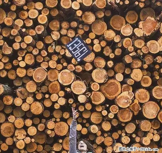 辞掉工作周游世界？现在他们在洗厕所…… - 游山玩水 - 潍坊生活社区 - 潍坊28生活网 wf.28life.net