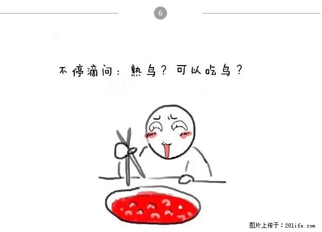 千万不要和这9种哈卵一起吃火锅！ - 美食天地 - 潍坊生活社区 - 潍坊28生活网 wf.28life.net