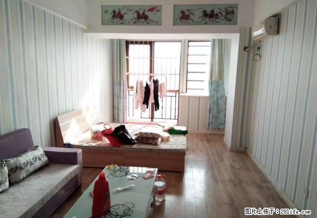 泰华领域精装南向家具家电全新能做饭价格可议 - 房屋出租 - 房屋租售 - 潍坊分类信息 - 潍坊28生活网 wf.28life.net
