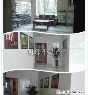 《明珠无虚假》文化路胜利街中央生活城好位置带全套家具家电 - 潍坊28生活网 wf.28life.net