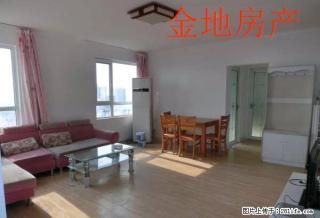 《找金地 安馨家》南向带阳台 家具齐全 一眼看好 中百新天地 - 潍坊28生活网 wf.28life.net
