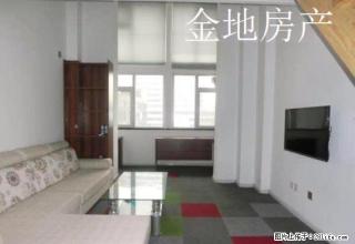 找金地 安馨家 中百 广丰复试公寓 南向朝阳 随时入住 - 潍坊28生活网 wf.28life.net