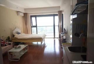 阳光100 万达近 南向 大阳台 家具全新拎包入住 - 潍坊28生活网 wf.28life.net