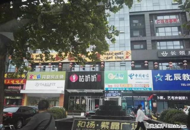 新华路佳乐家南邻和扬紫晶广场 租卖都可以！寻找有缘人 - 房屋出租 - 房屋租售 - 潍坊分类信息 - 潍坊28生活网 wf.28life.net