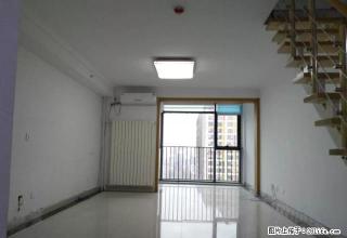 《选择家乐万家》阳光100 办公 工作室必备 降价 急租 - 潍坊28生活网 wf.28life.net