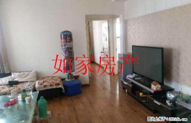 《精装温馨两室朝阳》家电齐全、干净豪华、阳光地带、冬暖夏凉 - 房屋出租 - 房屋租售 - 潍坊分类信息 - 潍坊28生活网 wf.28life.net
