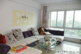 《明珠无虚假》精装三室家具家电齐全拎包入住阳光又一城急租 - 潍坊28生活网 wf.28life.net