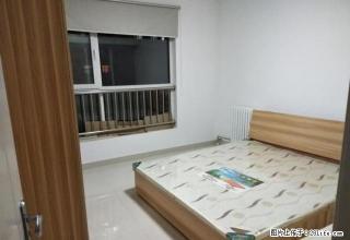《明珠无虚假》歌尔呼叫中心近春景花园2室拎包住干净整洁 - 潍坊28生活网 wf.28life.net