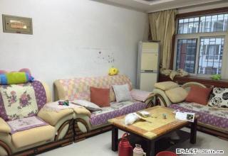 《明珠无虚假》金马怡园精装修带全套家具家电拎包入住 - 潍坊28生活网 wf.28life.net