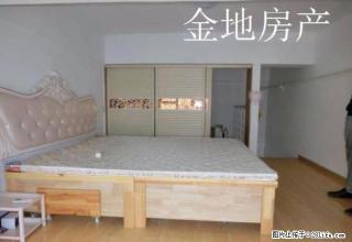 找金地安馨家中百泰华近精装温馨公主房，拎包入住随时看房 - 潍坊28生活网 wf.28life.net
