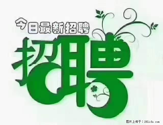 【招聘】产康师 - 职场交流 - 潍坊生活社区 - 潍坊28生活网 wf.28life.net