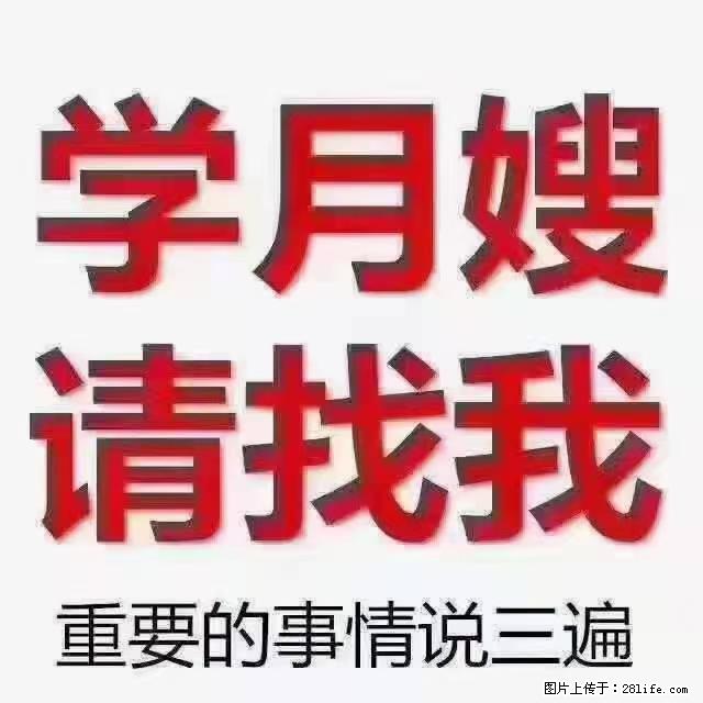 【招聘】月嫂，上海徐汇区 - 职场交流 - 潍坊生活社区 - 潍坊28生活网 wf.28life.net