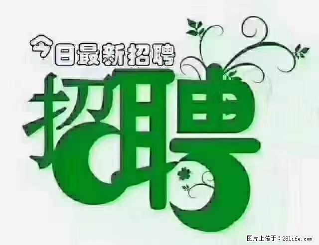 上海青浦区招仓管 - 职场交流 - 潍坊生活社区 - 潍坊28生活网 wf.28life.net