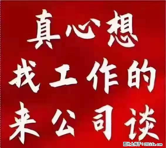 【上海】国企，医院招两名男保安，55岁以下，身高1.7米以上，无犯罪记录不良嗜好 - 职场交流 - 潍坊生活社区 - 潍坊28生活网 wf.28life.net