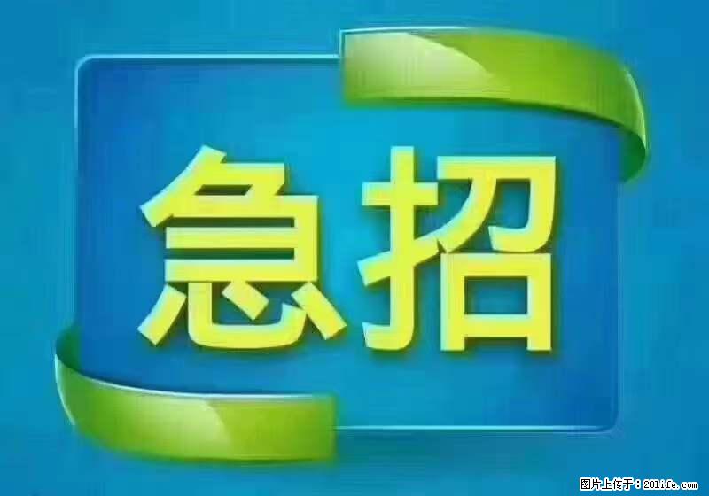 招财务，有会计证的，熟手会计1.1万底薪，上海五险一金，包住，包工作餐，做六休一 - 职场交流 - 潍坊生活社区 - 潍坊28生活网 wf.28life.net