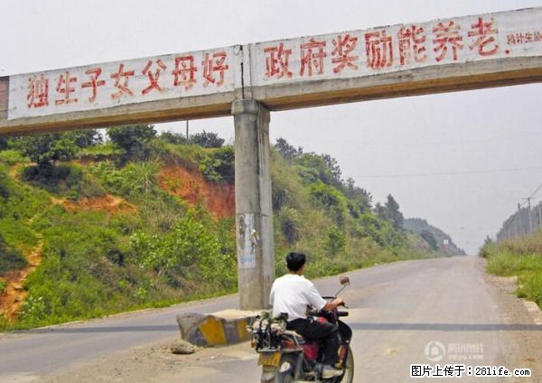 全面两孩政策计划明年元旦起实施 夫妻可延长生育假 - 潍坊生活资讯 - 潍坊28生活网 wf.28life.net