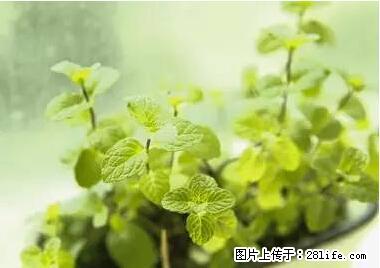 晕车、脚气、牙齿变黄、皮肤粗糙？学会这些三分钟搞定！ - 潍坊生活资讯 - 潍坊28生活网 wf.28life.net