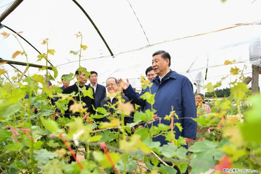 习近平赴广西考察调研 - 潍坊生活资讯 - 潍坊28生活网 wf.28life.net