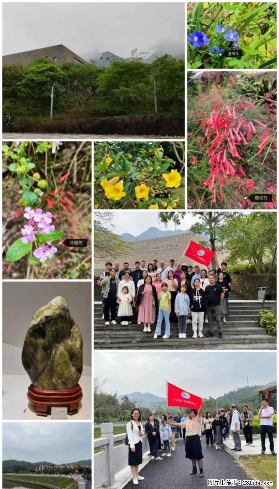 “粤灌文化 美好生活”油茶文化主题活动在广东深圳成功举办 - 潍坊生活资讯 - 潍坊28生活网 wf.28life.net
