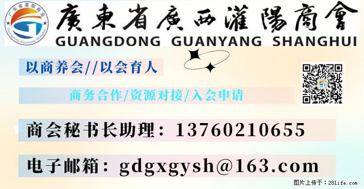 “粤灌文化 美好生活”油茶文化主题活动在广东深圳成功举办 - 潍坊生活资讯 - 潍坊28生活网 wf.28life.net