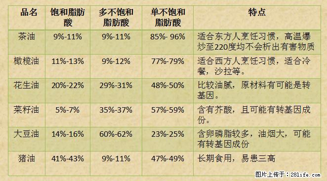 揭秘茶油的5大核心营养成分！被称为人体健康的“守护盾”！ - 潍坊生活资讯 - 潍坊28生活网 wf.28life.net