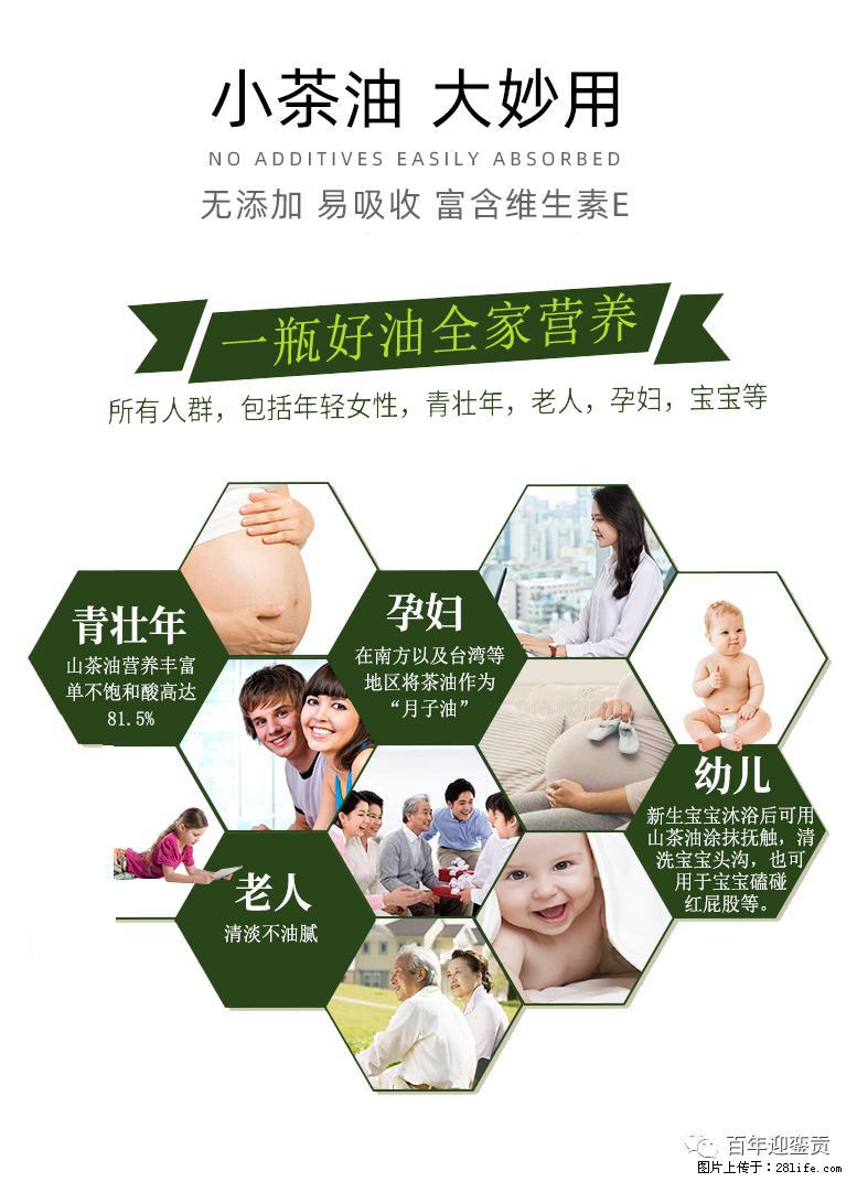 世界没有真相，只有认知，最好的食用油是中国的山茶油！ - 潍坊生活资讯 - 潍坊28生活网 wf.28life.net