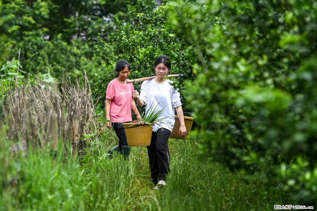 全网追的“扁担女孩”，找了一份暑假工，时薪12元 - 潍坊生活资讯 - 潍坊28生活网 wf.28life.net