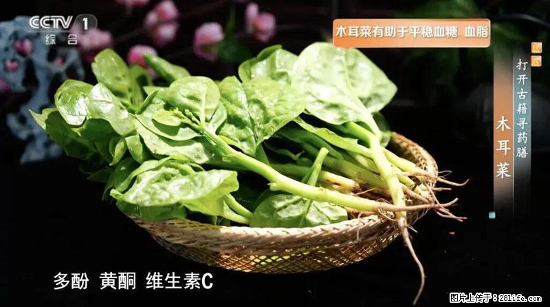 比牛奶补钙还厉害！凉血解毒、稳血糖...这菜冬天必吃，很多人却当草 - 潍坊生活资讯 - 潍坊28生活网 wf.28life.net
