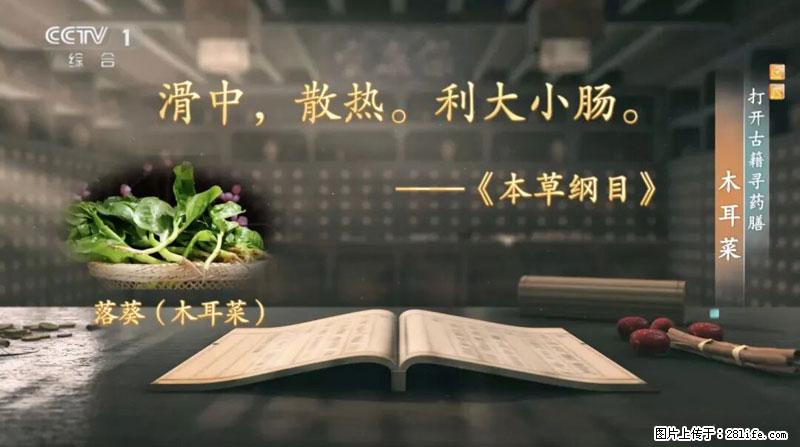 比牛奶补钙还厉害！凉血解毒、稳血糖...这菜冬天必吃，很多人却当草 - 潍坊生活资讯 - 潍坊28生活网 wf.28life.net