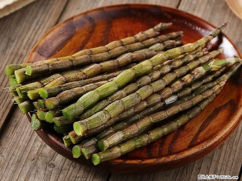 铁皮石斛的作用与功能主治 - 潍坊生活资讯 - 潍坊28生活网 wf.28life.net