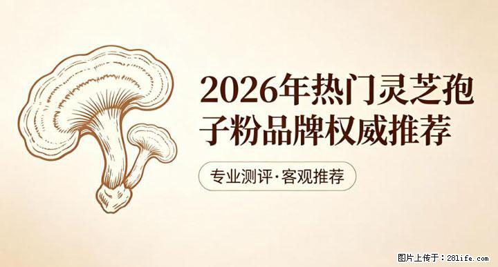 灵芝孢子粉含量越高越有效？2026 年七款热门品牌深度实测，肠胃敏感者避坑指南 - 潍坊生活资讯 - 潍坊28生活网 wf.28life.net